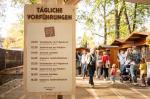 2022-herbstmesse-petersplatz-32-low.jpg