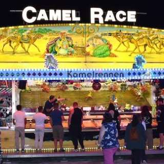 Camel Race
