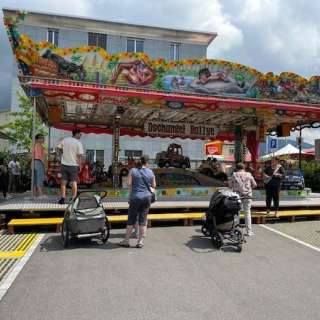 Dschungel Rallye